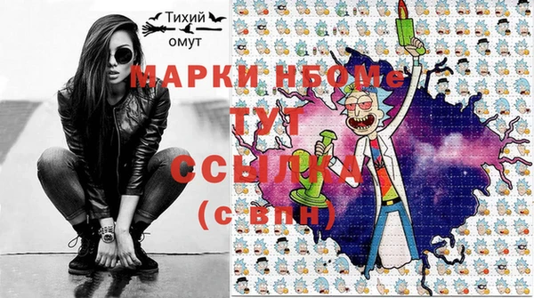 шишки Верхний Тагил